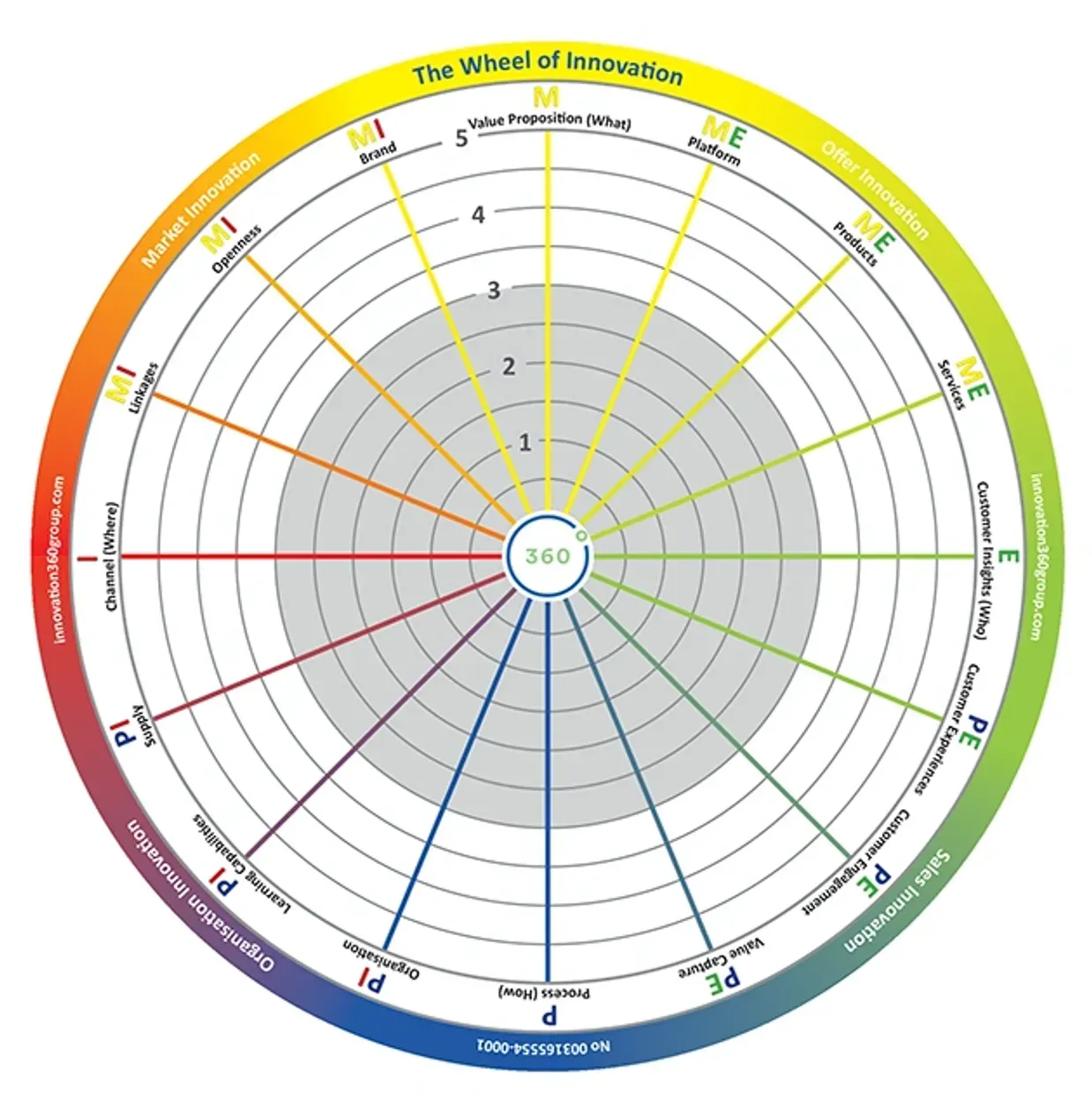 A "radar chart" type template with space for 5 capability levels across 16 topics