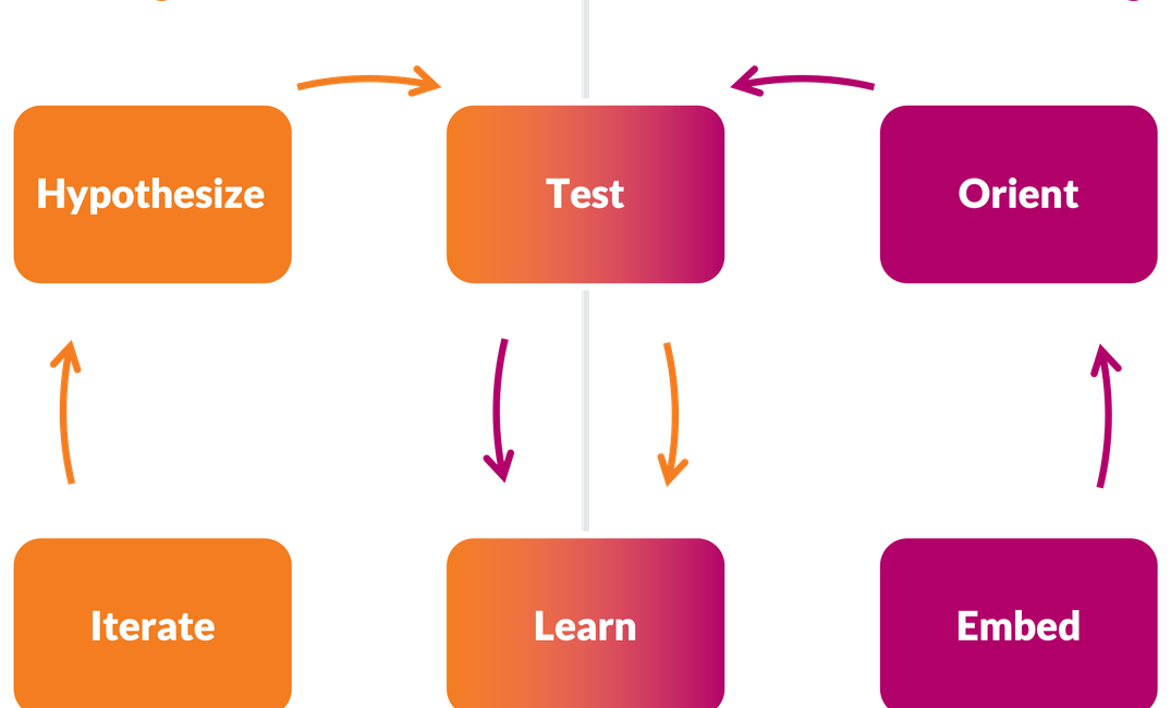 A colorful graphic of two overlapping word circles for "Content. learning" and "Capability learning"