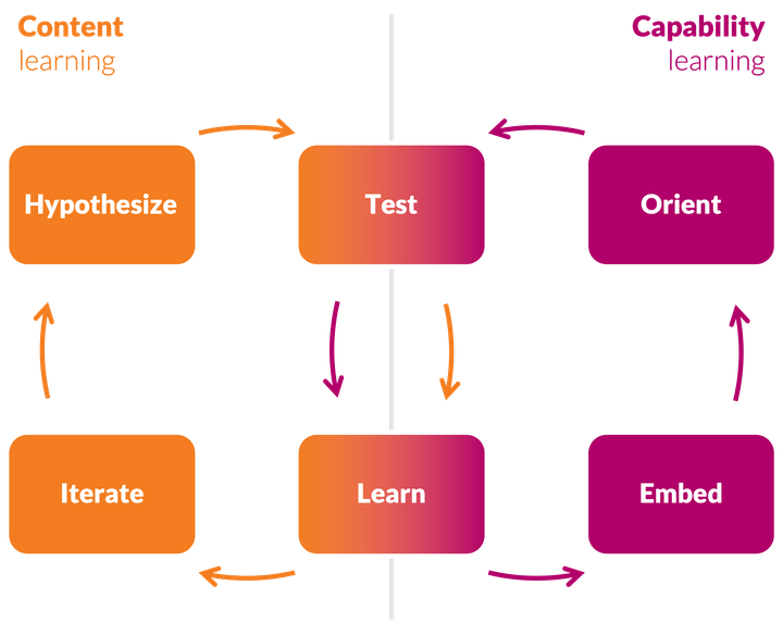 A colorful graphic of two overlapping word circles for "Content. learning" and "Capability learning"